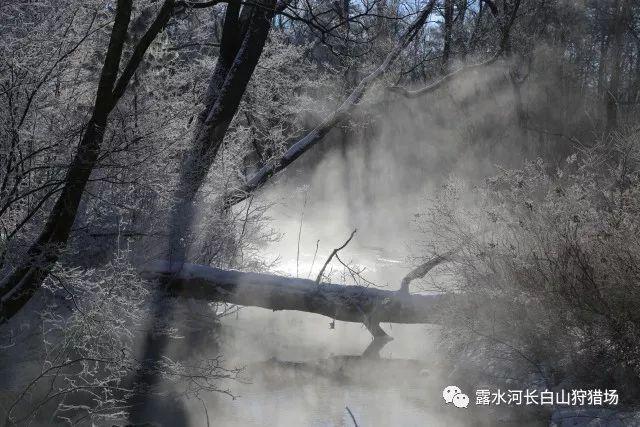 寻找遗失的摩托车