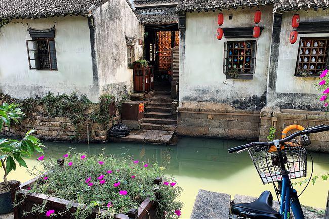 除虫大师